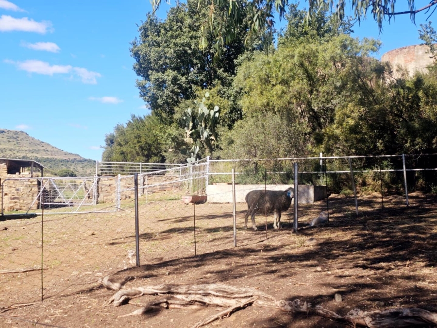 4 Bedroom Property for Sale in Dewetsdorp Free State